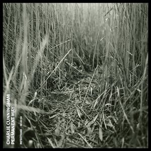 日韩特黄A片高清视频
