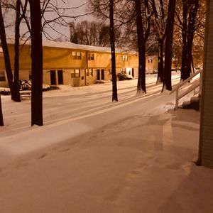 日韩特黄A片高清视频
