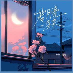 日韩特黄A片高清视频
