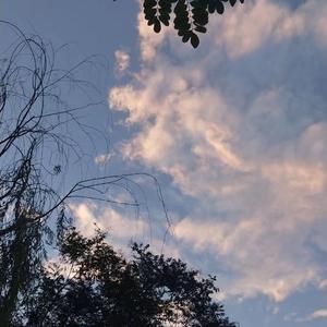 日韩特黄A片高清视频
